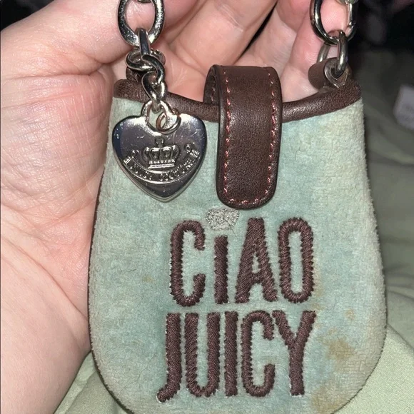 Juicy Couture Vintage Mint and Chocolate Mini Bag - Picture 7 of 9
